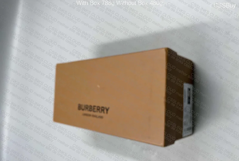 slide burberry 4