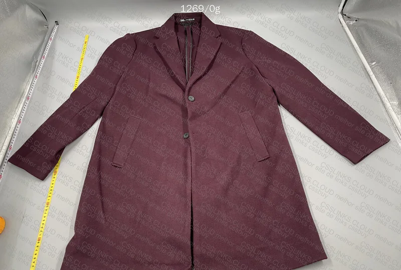 Zara Overcoat (What a Bizarre Color)