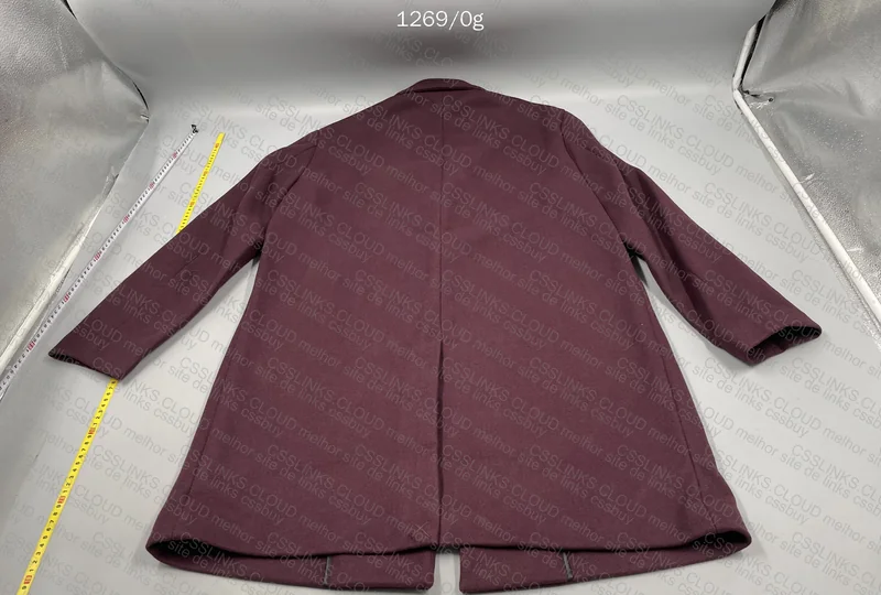 Zara Overcoat (What a Bizarre Color) 2