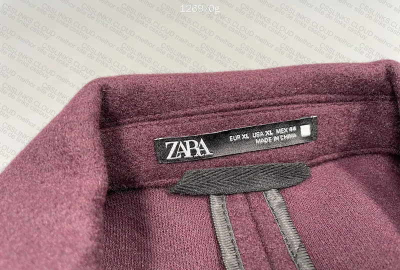 Zara Overcoat (What a Bizarre Color) 3