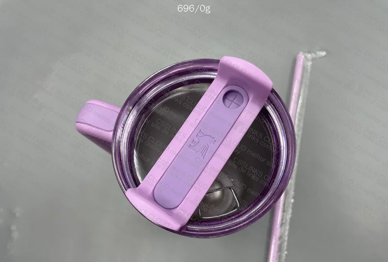 Stanley Olivia Rodrigo 3