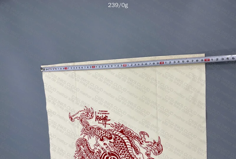 STUSSY DRAGON with Measurements 9
