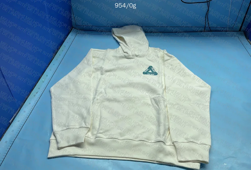 Stussy e palace 4
