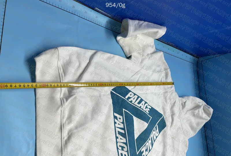 Stussy e palace 5