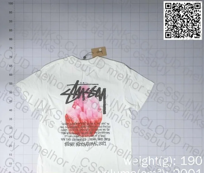 stussy t-shirt