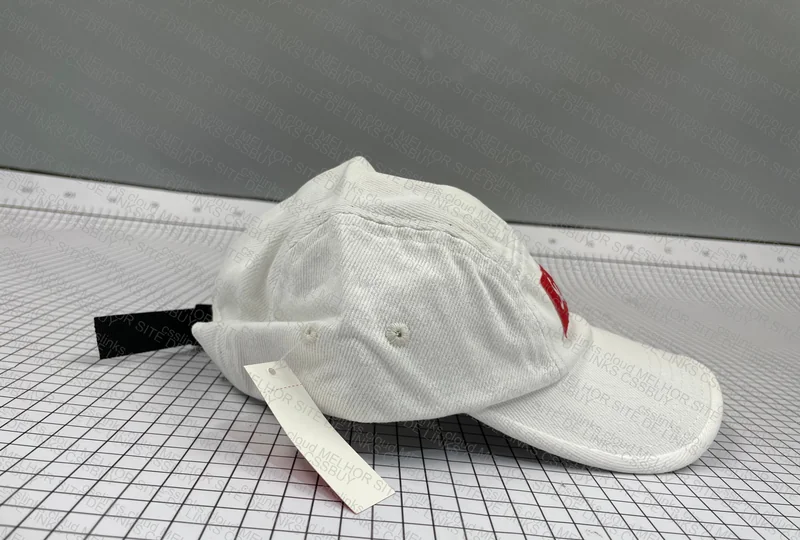 Supreme hat 4