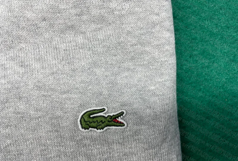 Lacoste Gray Monochrome Cotton Sweater with Round Neck AH1985 5