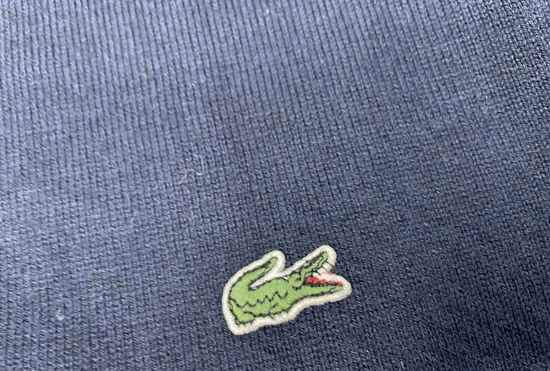 Lacoste Husky Sweater 2