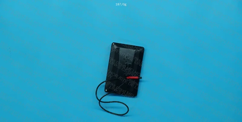Display Screen + Rear Camera