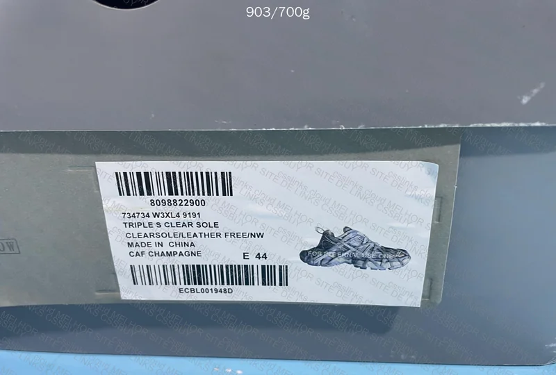 Balenciaga Sneakers (Name Unknown) 2