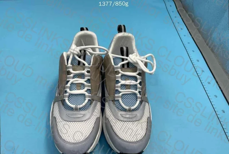 Dior B22 Sneakers (GL?)