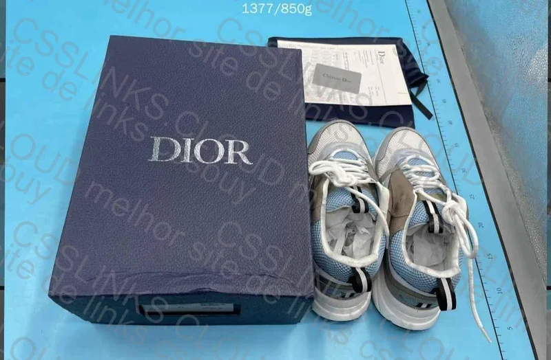 Dior B22 Sneakers (GL?) 10