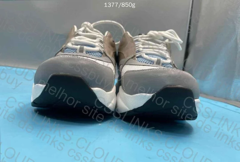 Dior B22 Sneakers (GL?) 2