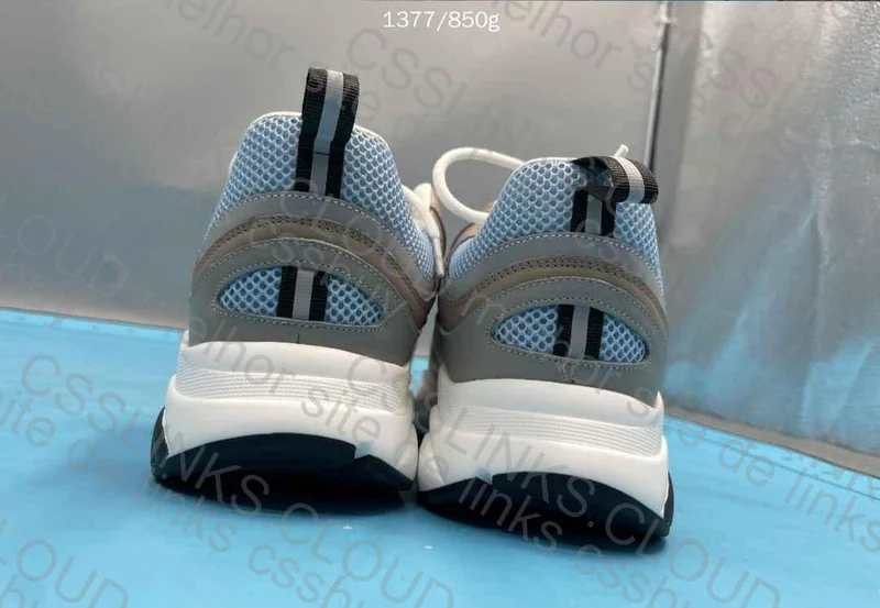 Dior B22 Sneakers (GL?) 3