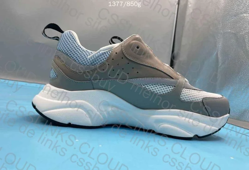 Dior B22 Sneakers (GL?) 4