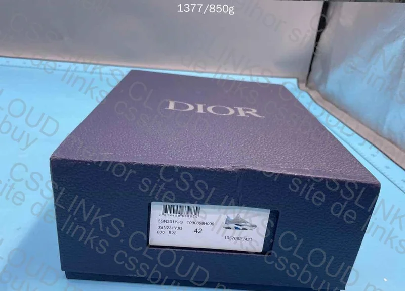 Dior B22 Sneakers (GL?) 9