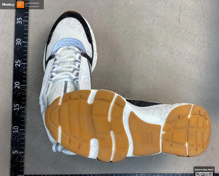 Dior B22 Sneakers (GL or RL?)
