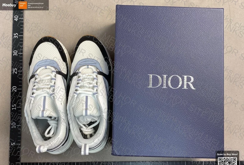 Dior B22 Sneakers (GL or RL?) 2