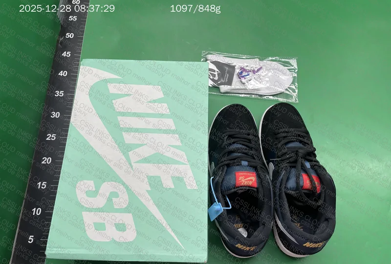 Dunk Sneakers 3