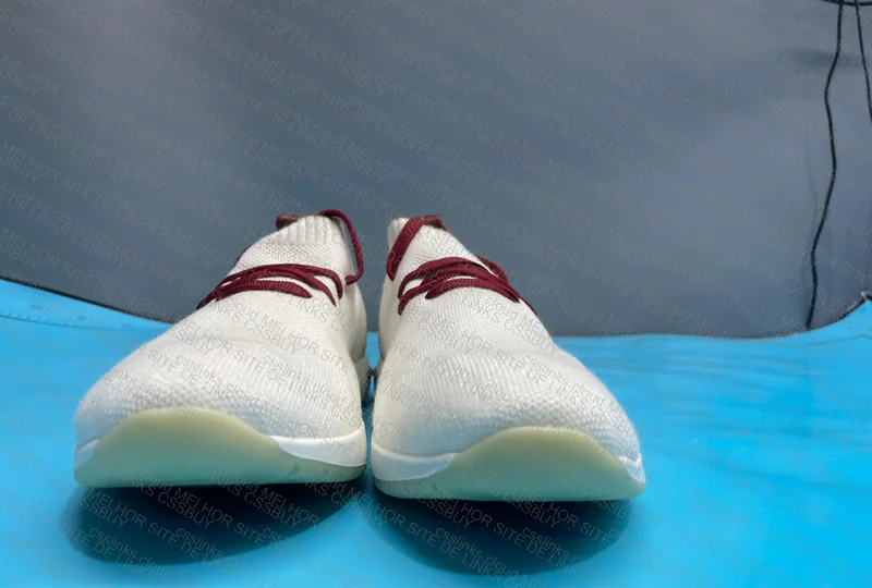 Loro Piana Sneakers 2