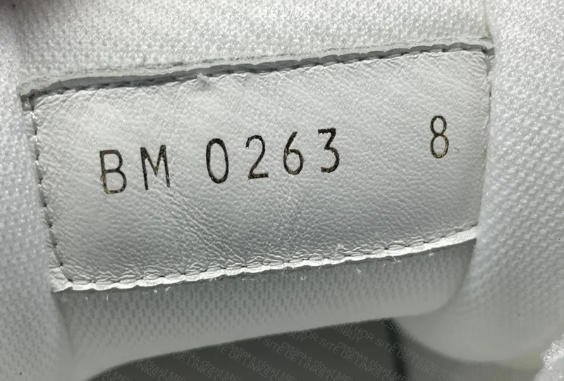 LV Sneakers 4