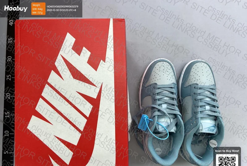 Nike Dunk Clear Blue Swoosh (Dh9765-401) New VT