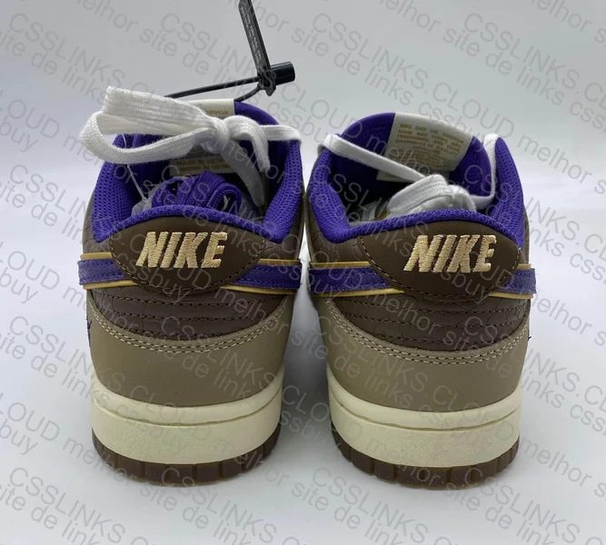 Nike Dunk Low 5