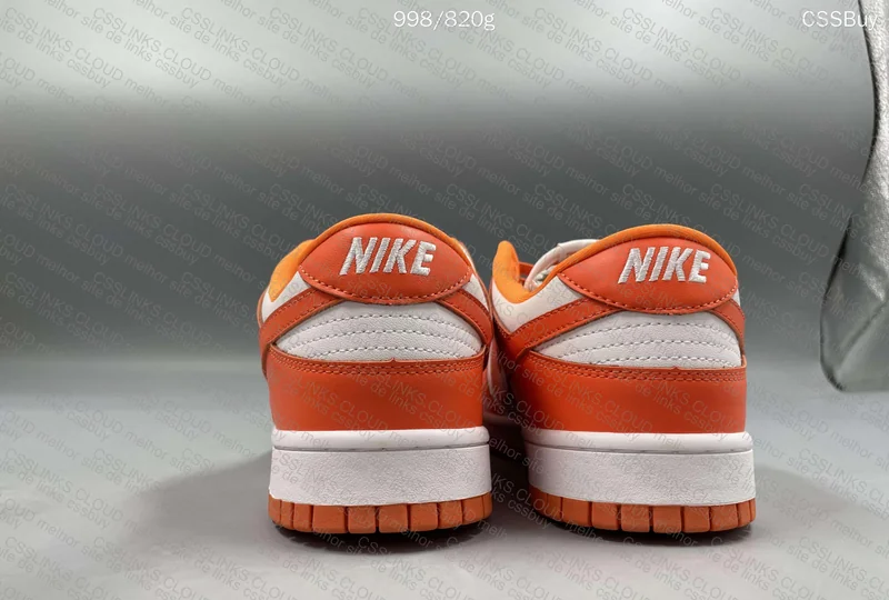 Nike Dunk Low Retro SP Syracuse 2