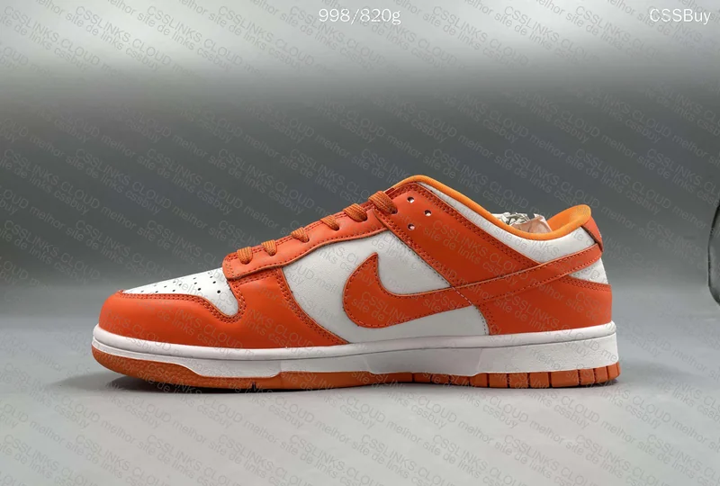 Nike Dunk Low Retro SP Syracuse 3