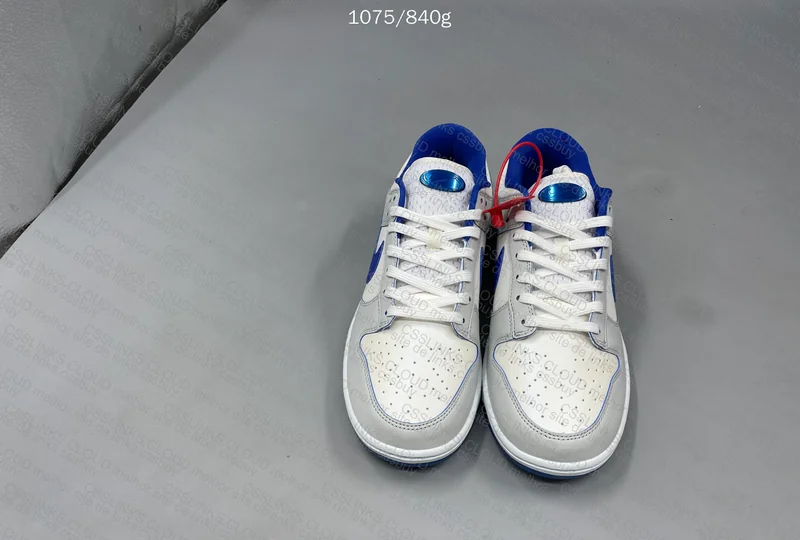Nike Dunk Low Worldwide 6