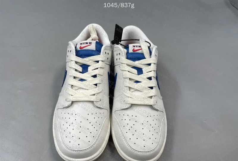 Nike Dunk New VT