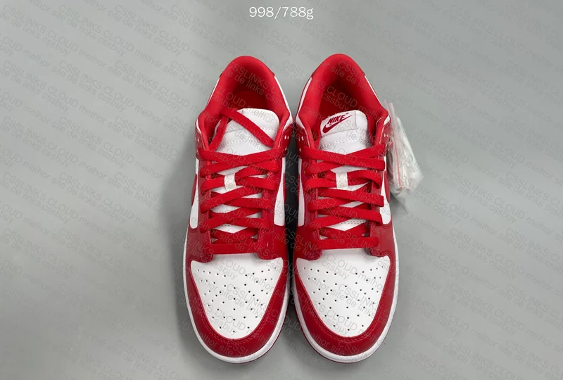 Nike Dunk Red 5