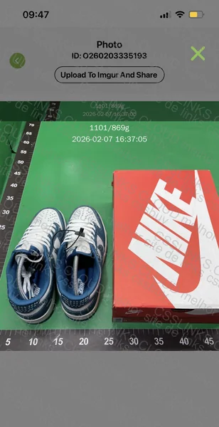Tênis Nike new vt dunk low 2
