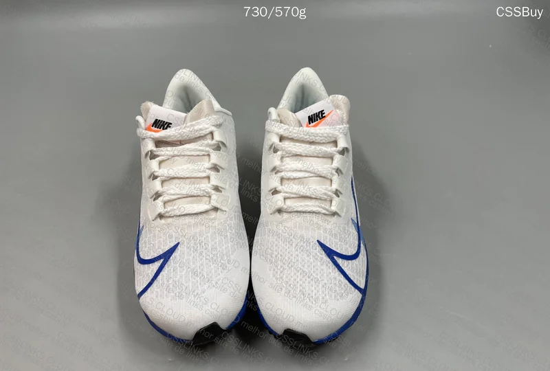 Nike Pegasus 37 Sneakers