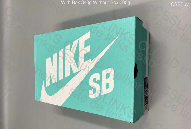Nike SB Force 58 White/Pink Sneakers