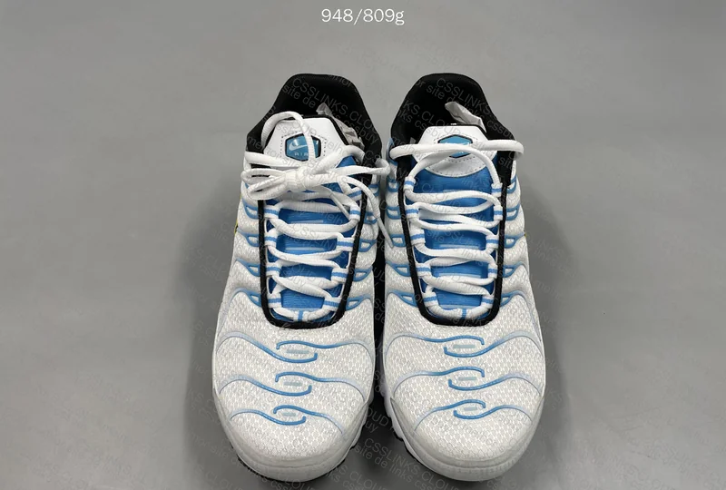 Nike TN Sneakers