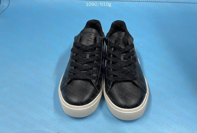 Veja Sneakers 2