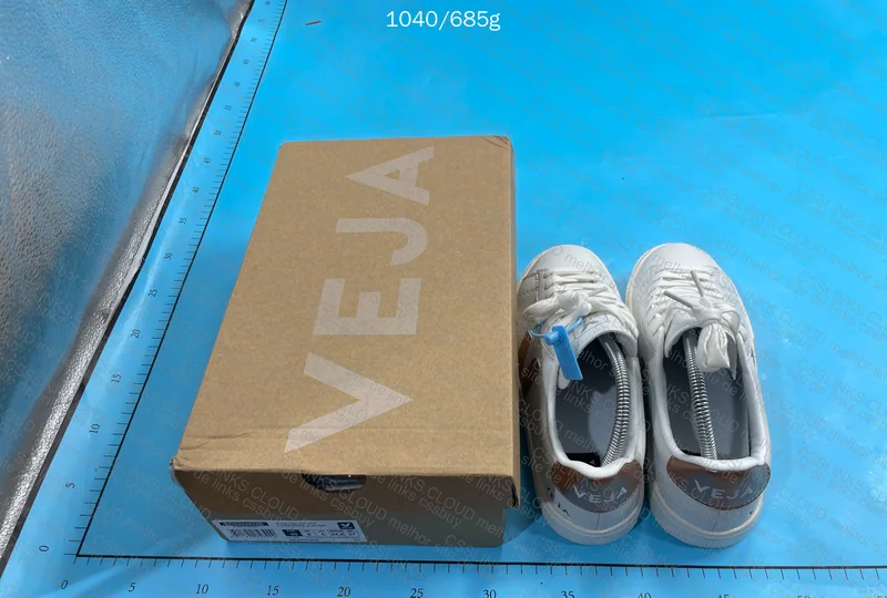 Veja Sneakers 2