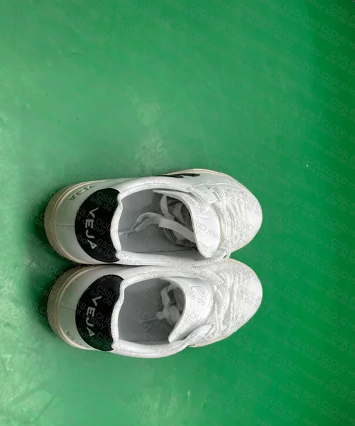 Veja Sneakers 3
