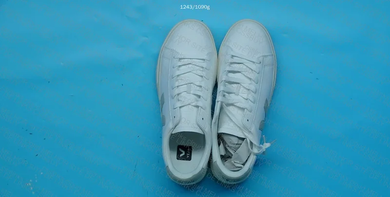 VEJA Sneakers - Batch TZ