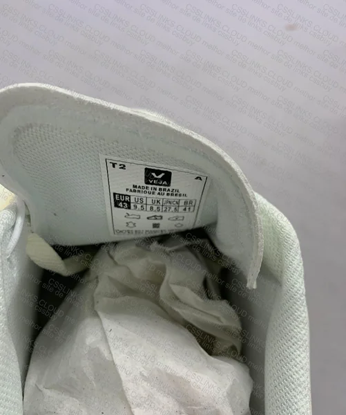 Tenis Veja PAI 2