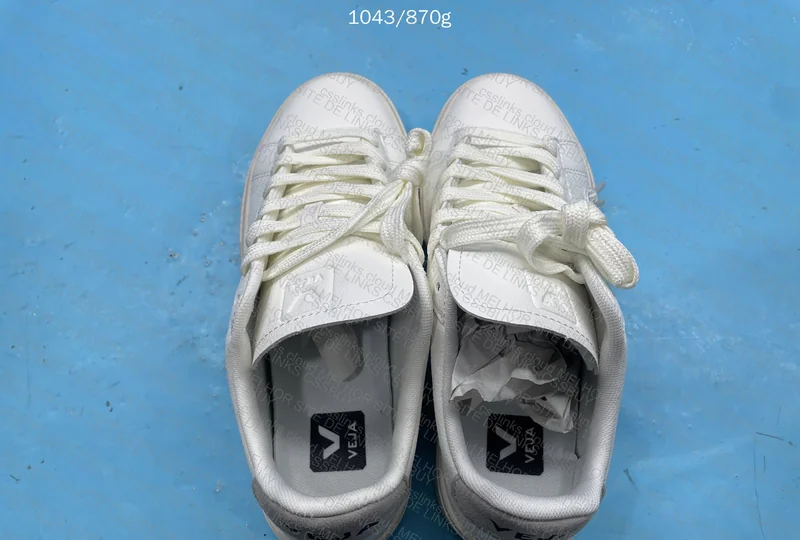 Veja Sneakers for My Girl 2