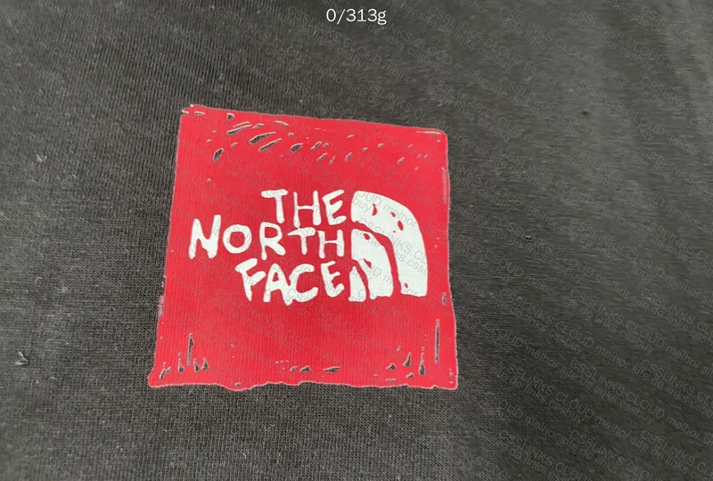 The North Face