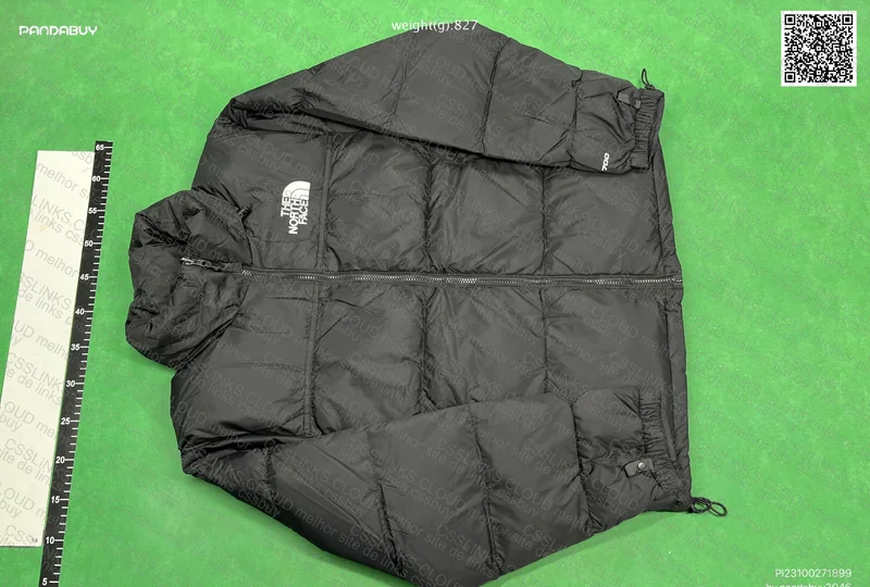 the north face 700 puffer 2