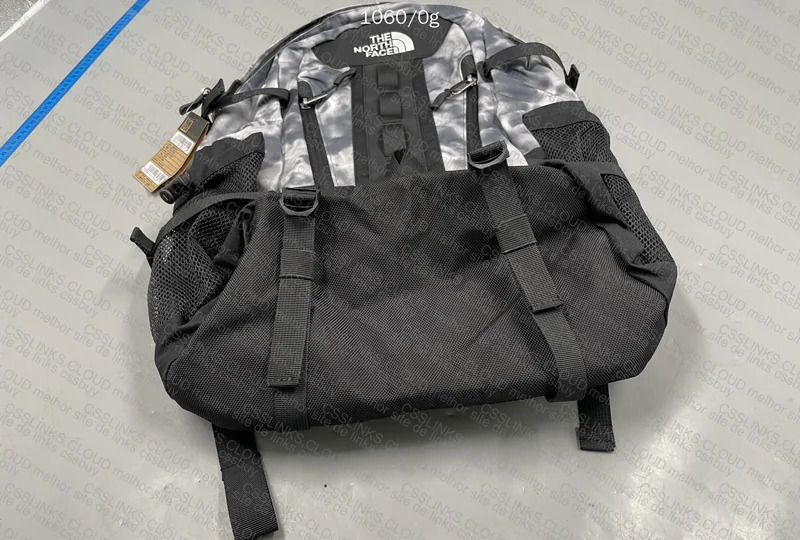 The North Face big shot 2