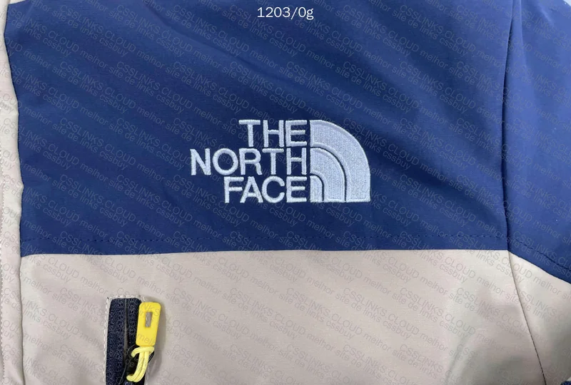 The North Face Jacket 2