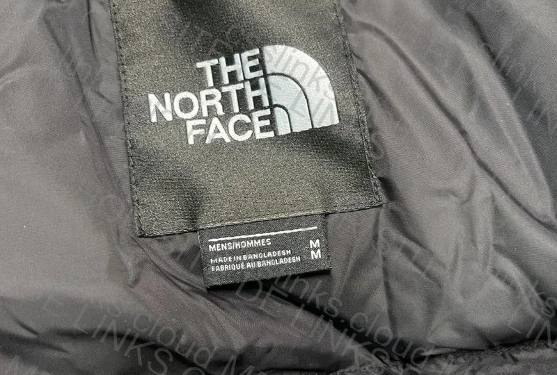 The North Face Down Jacket 3
