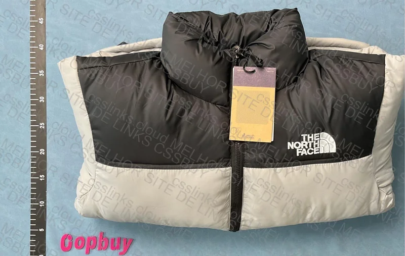 The North Face Down Jacket 2
