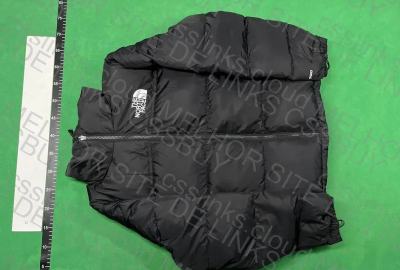 The North Face Down Jacket