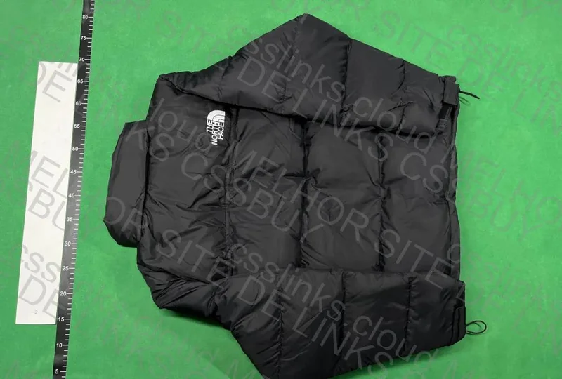 The North Face Down Jacket 2